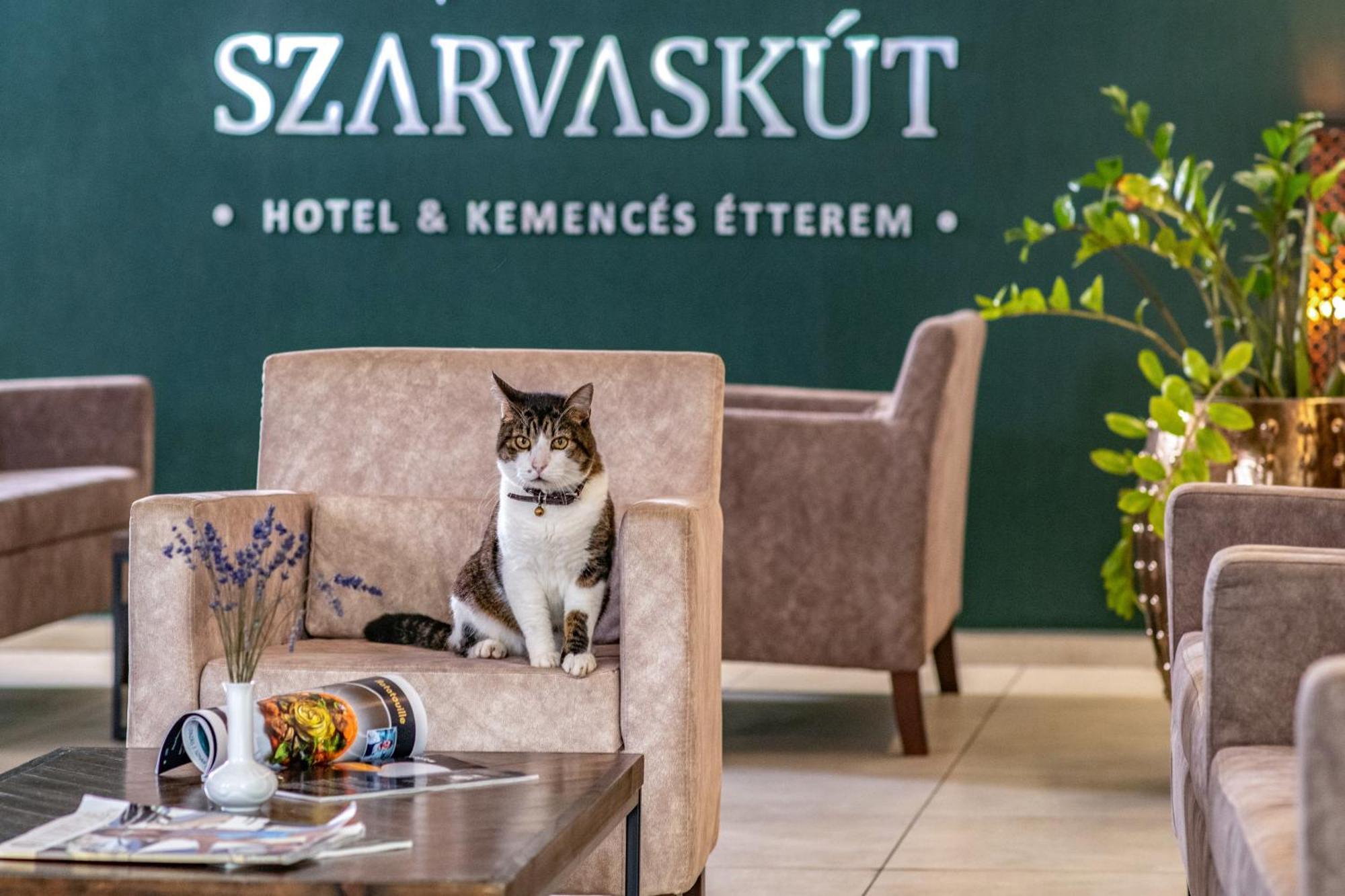 Szarvaskut Hotel Zirc Ngoại thất bức ảnh